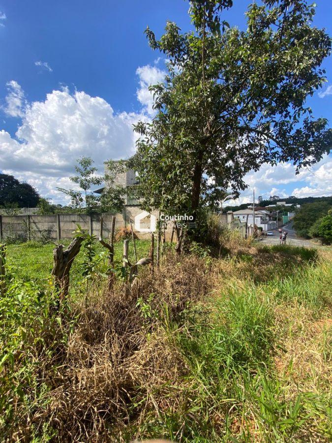 WhatsApp Image 2026-04-13 at 17.10.05 (17).jpeg